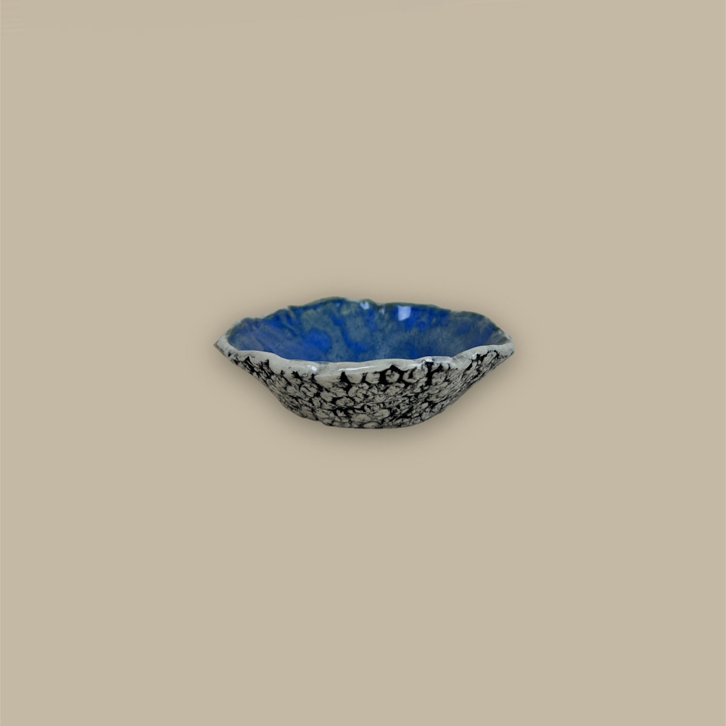 Ocean Oysters Collection Gelee Bowl 4"/10cm, h - 1"/3cm