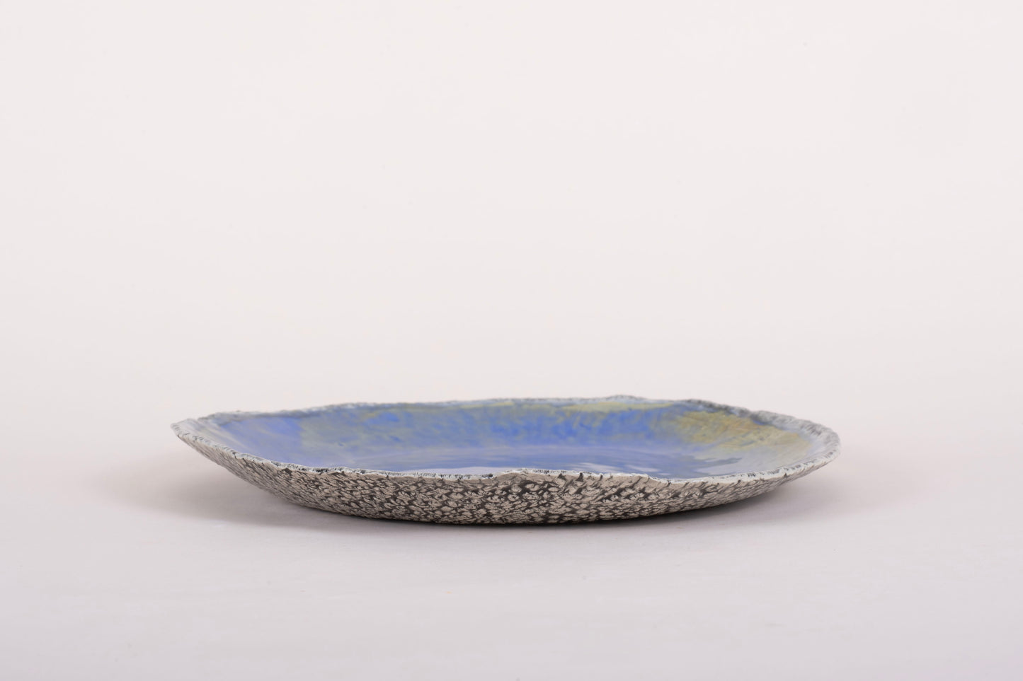 Ocean Oyster Collection Dinner Plate 10"/26 cm