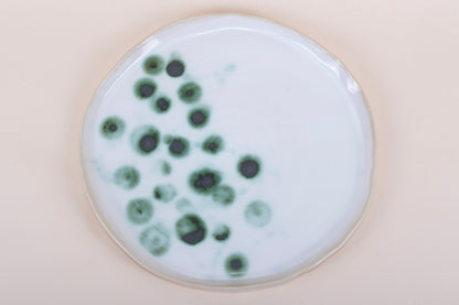 Lush Copper Flecks Collection Main Course Plate 12''/30 cm