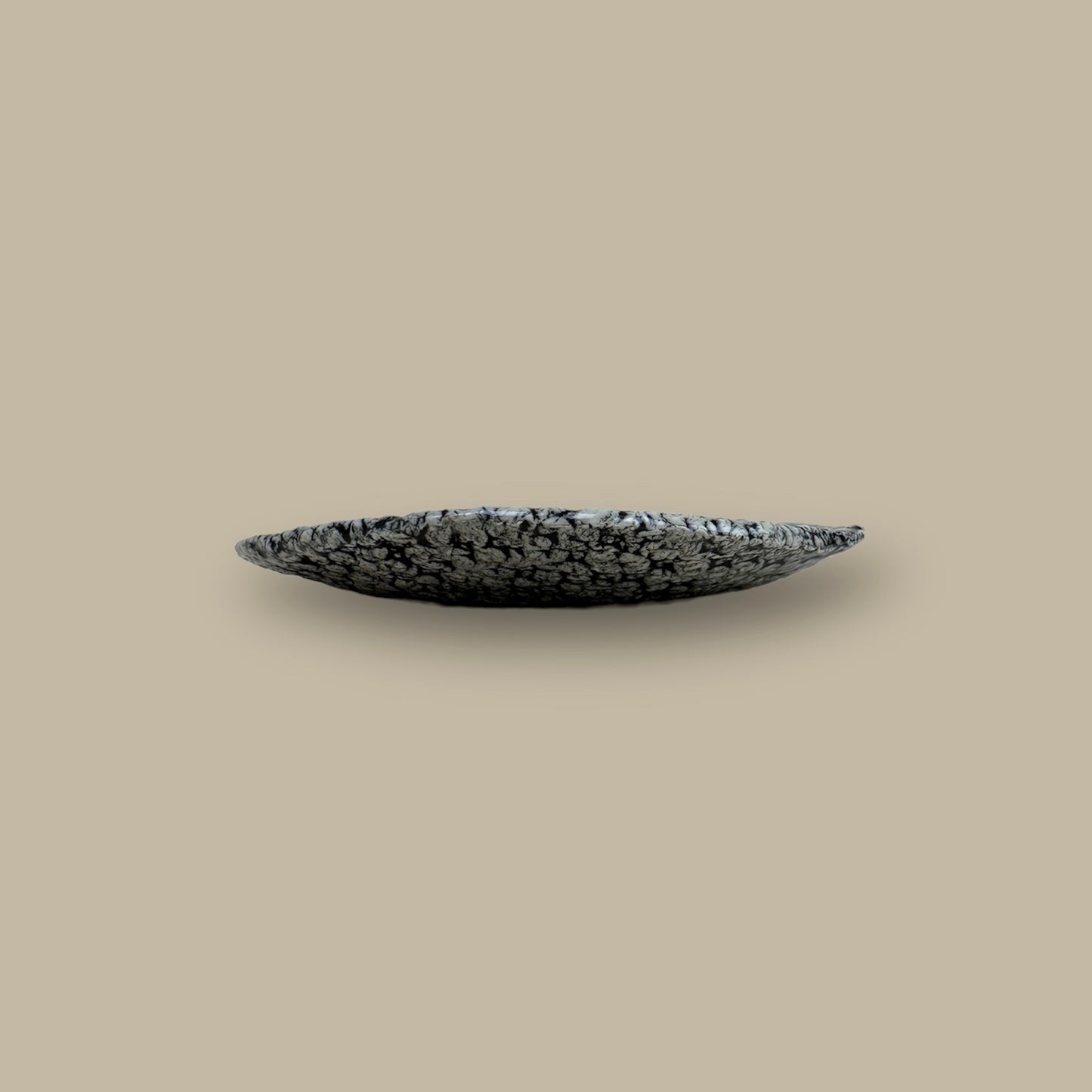 Ocean Oyster Collection Bread/Butter Plate 6.5"/15cm