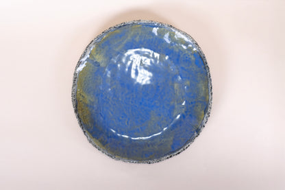 Ocean Oyster Collection Dinner Plate 10"/26 cm