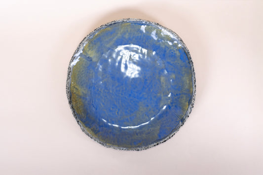 Ocean Oyster Collection Dinner Plate 10"/26 cm